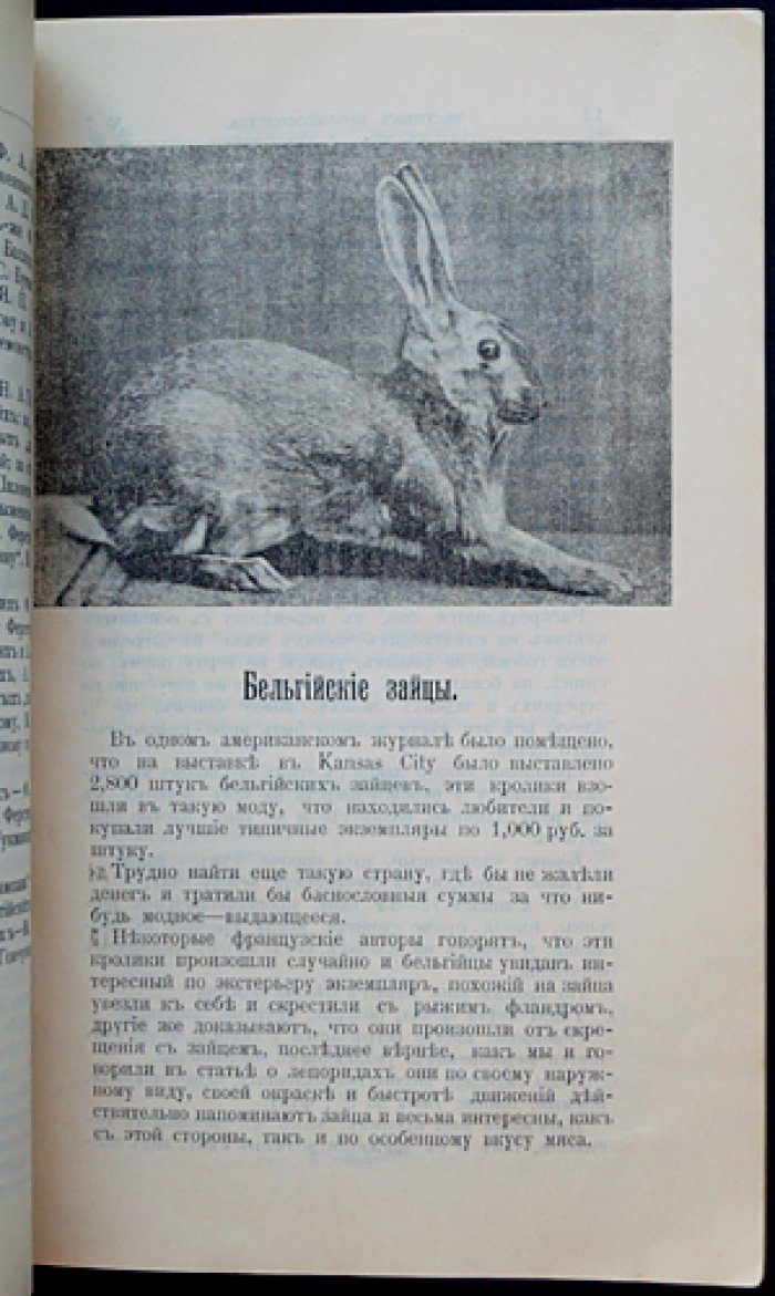 «Вестник кролиководства»: полный комплект за 1911/1912 год (12 номеров)