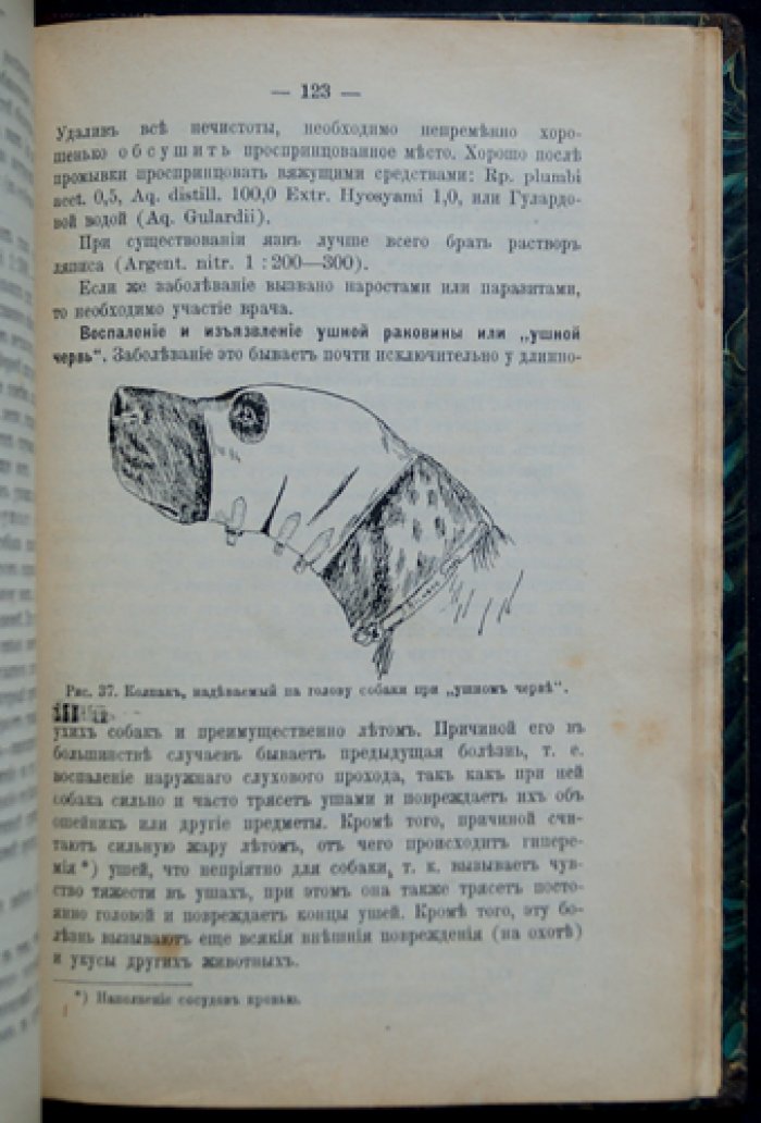 Сторожевые, охотничьи и комнатные собаки. Руководство по содержанию, кормлению, воспитанию и дрессировке