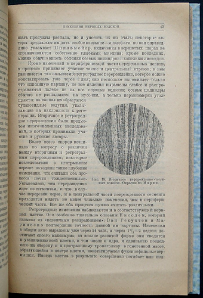 Введение в анатомическое изучение психозов: основы патологической анатомии психических заболеваний