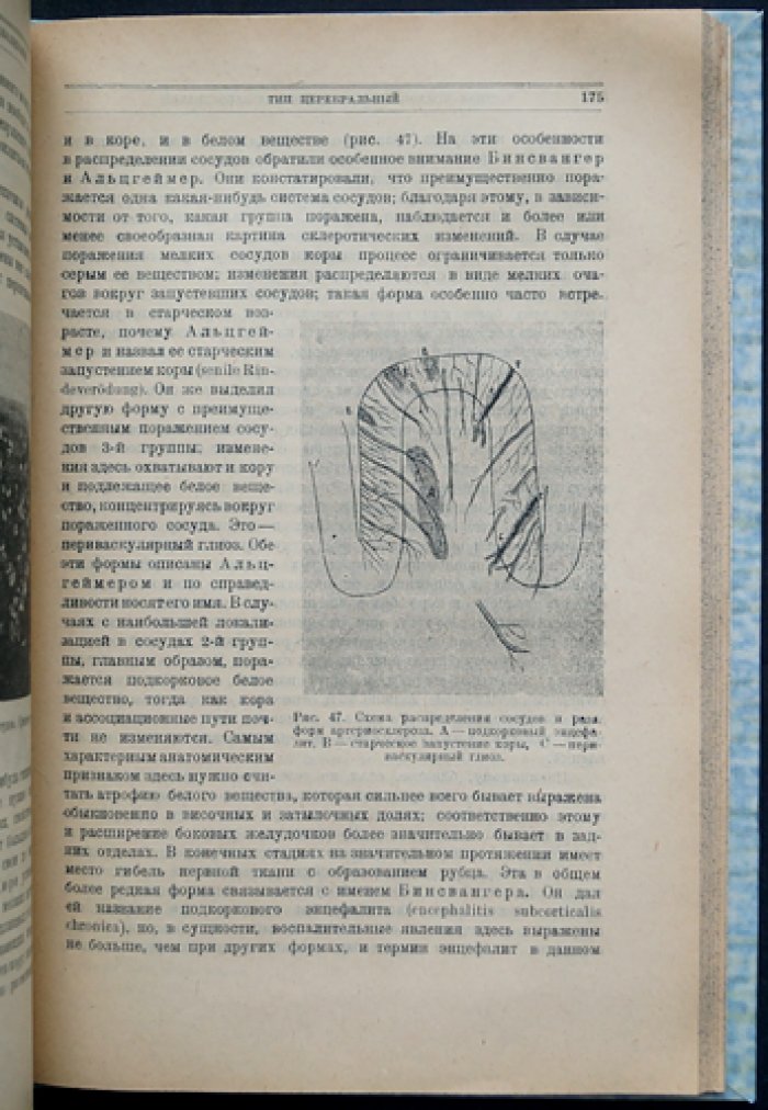 Введение в анатомическое изучение психозов: основы патологической анатомии психических заболеваний