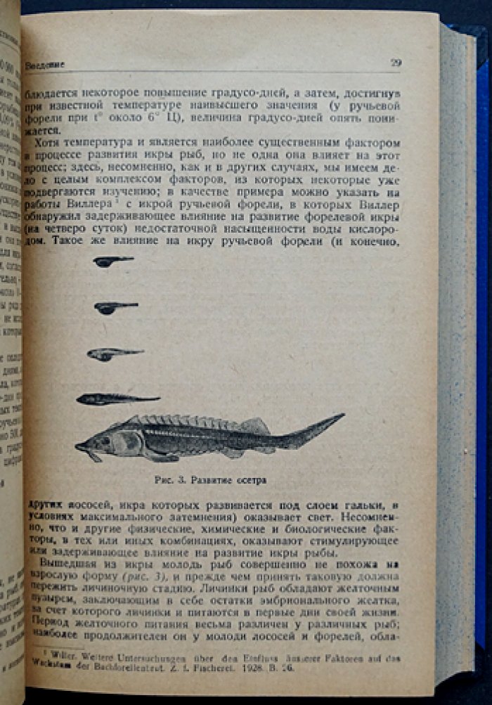 Рыбоводство в естественных и искусственных водоёмах: основы разведения промысловых рыб