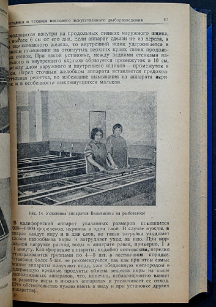 Рыбоводство в естественных и искусственных водоёмах: основы разведения промысловых рыб