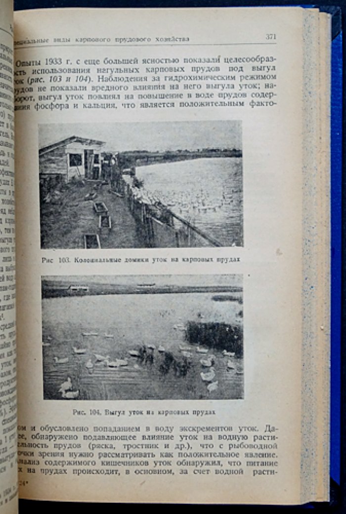 Рыбоводство в естественных и искусственных водоёмах: основы разведения промысловых рыб