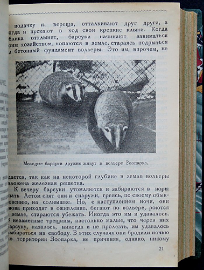 Научно-популярная библиотека Московского зоопарка: комплект из 15 книг в одном переплёте (редкое издание 1928–1930)