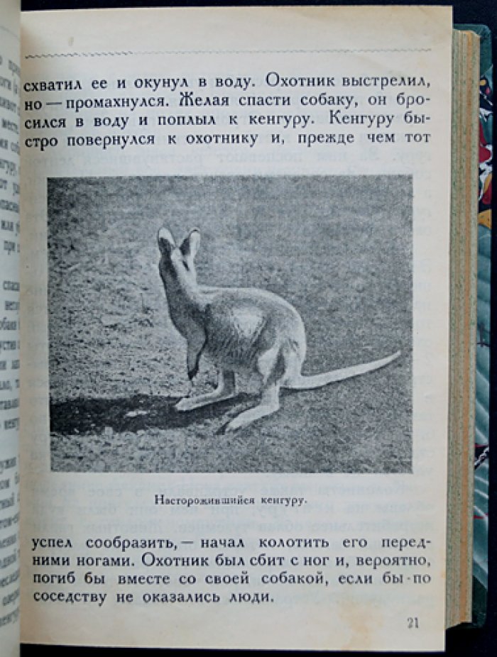 Научно-популярная библиотека Московского зоопарка: комплект из 15 книг в одном переплёте (редкое издание 1928–1930)