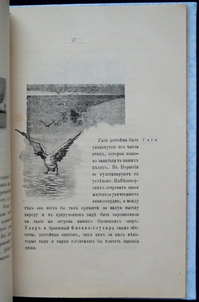 Русский зоопромышленный парк: звероводство и промысел в северных районах России (наблюдения и проект развития отрасли)