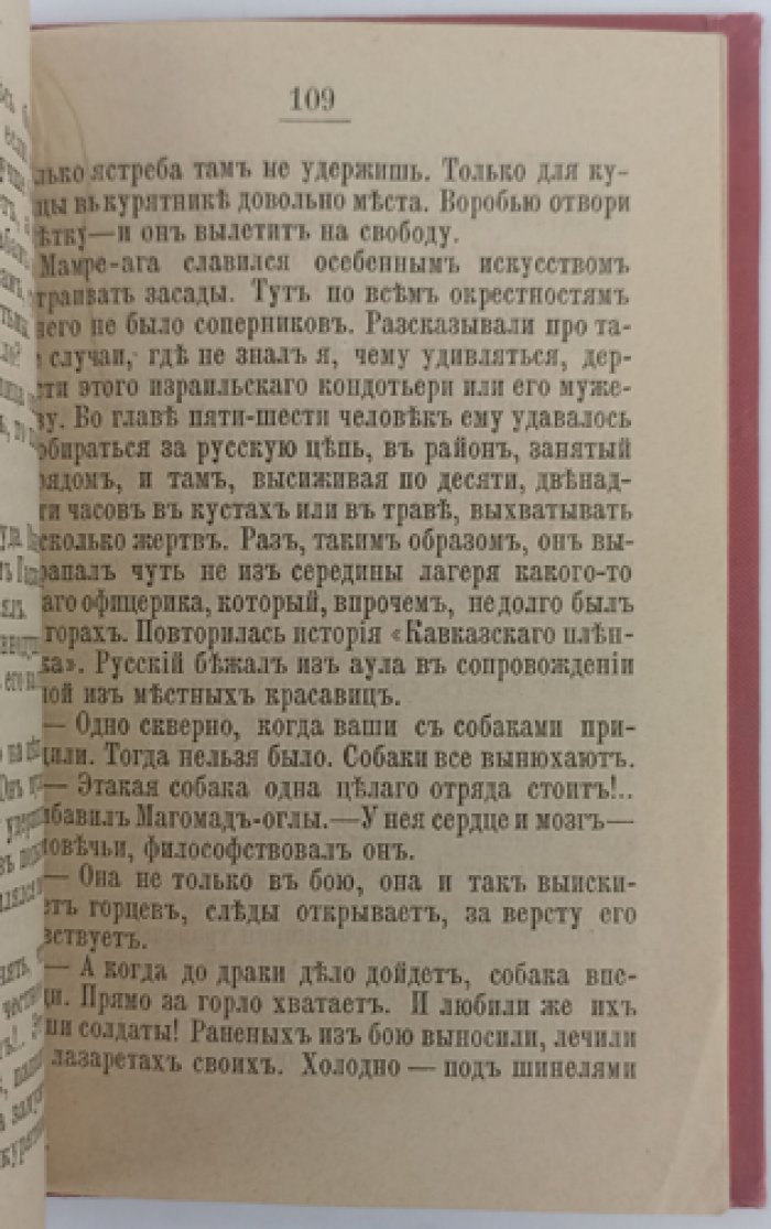 Дагестанские захолустья: кавказские очерки и рассказы (1894)