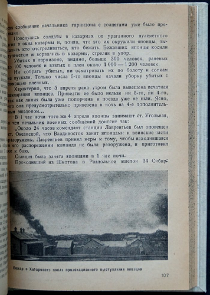 Японская интервенция 1918–1922 гг. в документах (Центрархив, «Массовая историческая библиотека»)