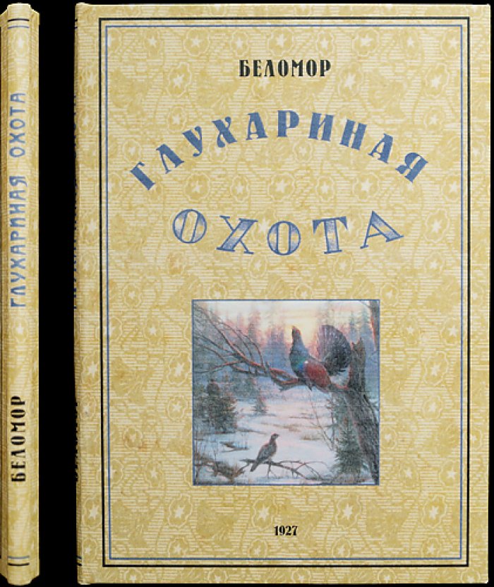 Беломор: охота на глухаря — практическое руководство охотника