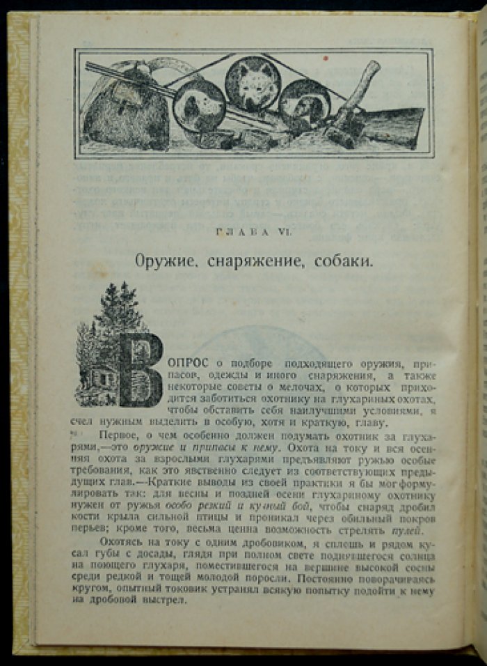 Беломор: охота на глухаря — практическое руководство охотника