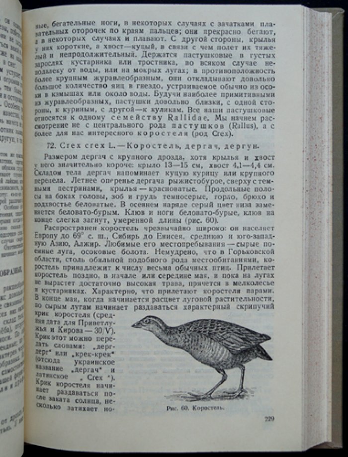 Звери, птицы, гады и рыбы Горьковской области: научно-популярный справочник (1942)
