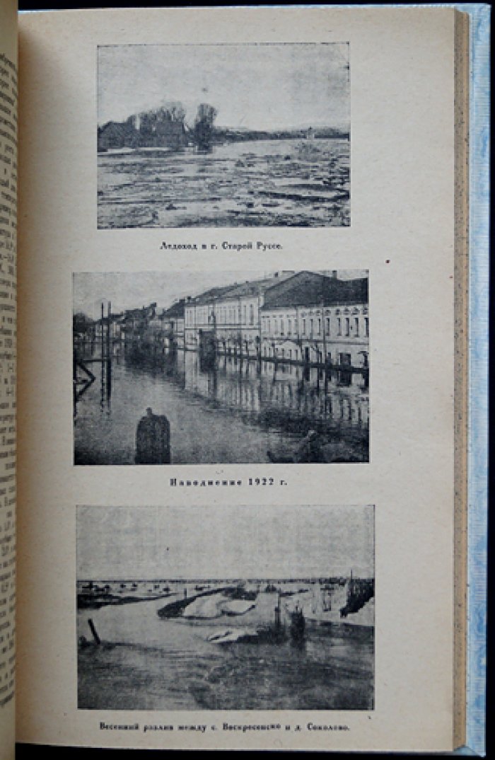 Старорусский край: природа, население и жизнь уездного пространства (1929)