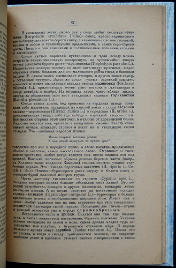 Старорусский край: природа, население и жизнь уездного пространства (1929)