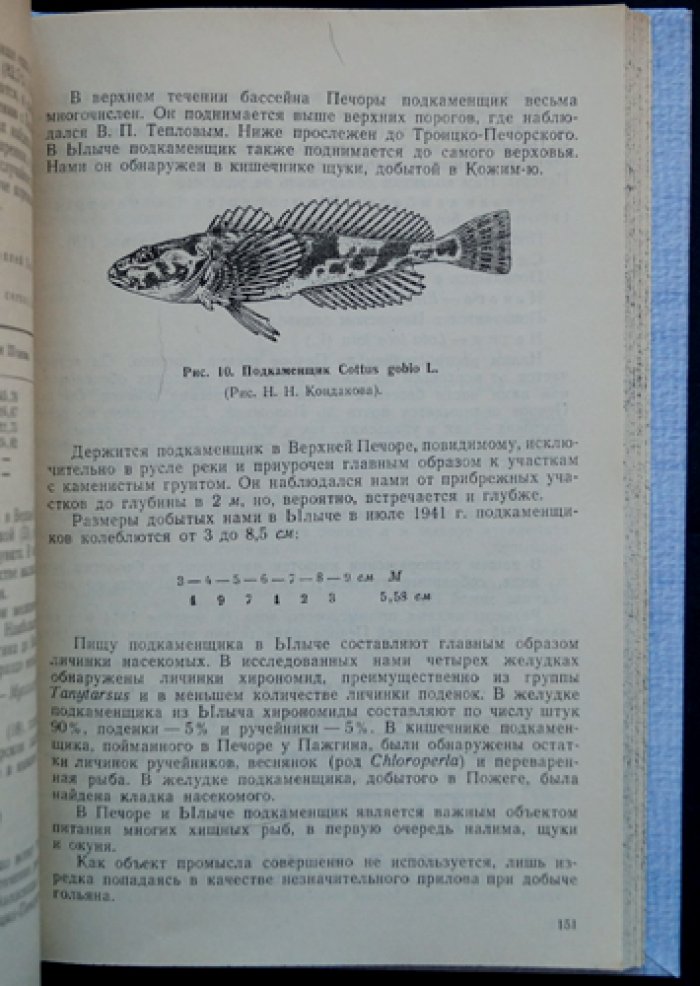 Рыбы бассейна Верхней Печоры: ихтиофауна, распространение и образ жизни (материалы к познанию природы СССР)