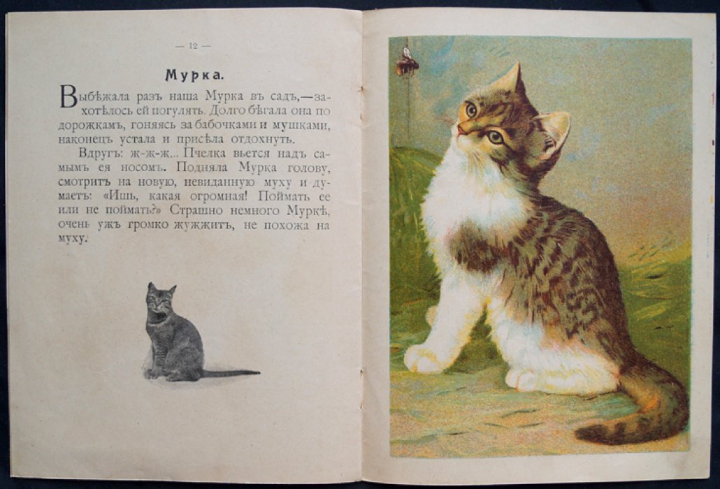 Моя книжка: сборник рассказов для маленьких детей (о животных)