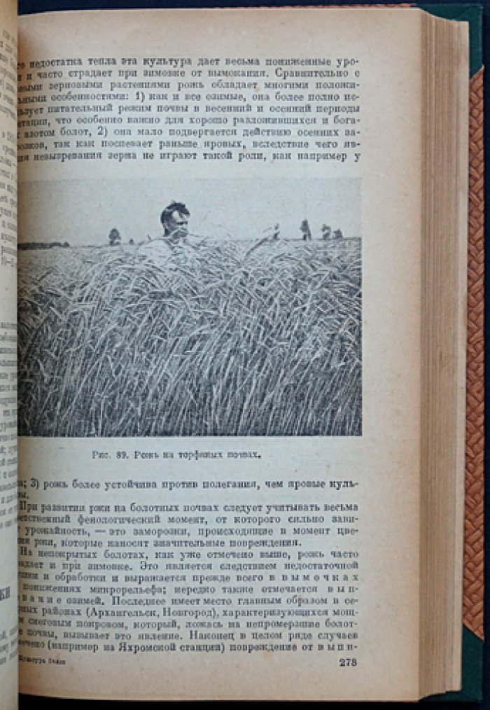 Культура болот: научные основы и агротехника (схемы, рисунки, фотоиллюстрации)