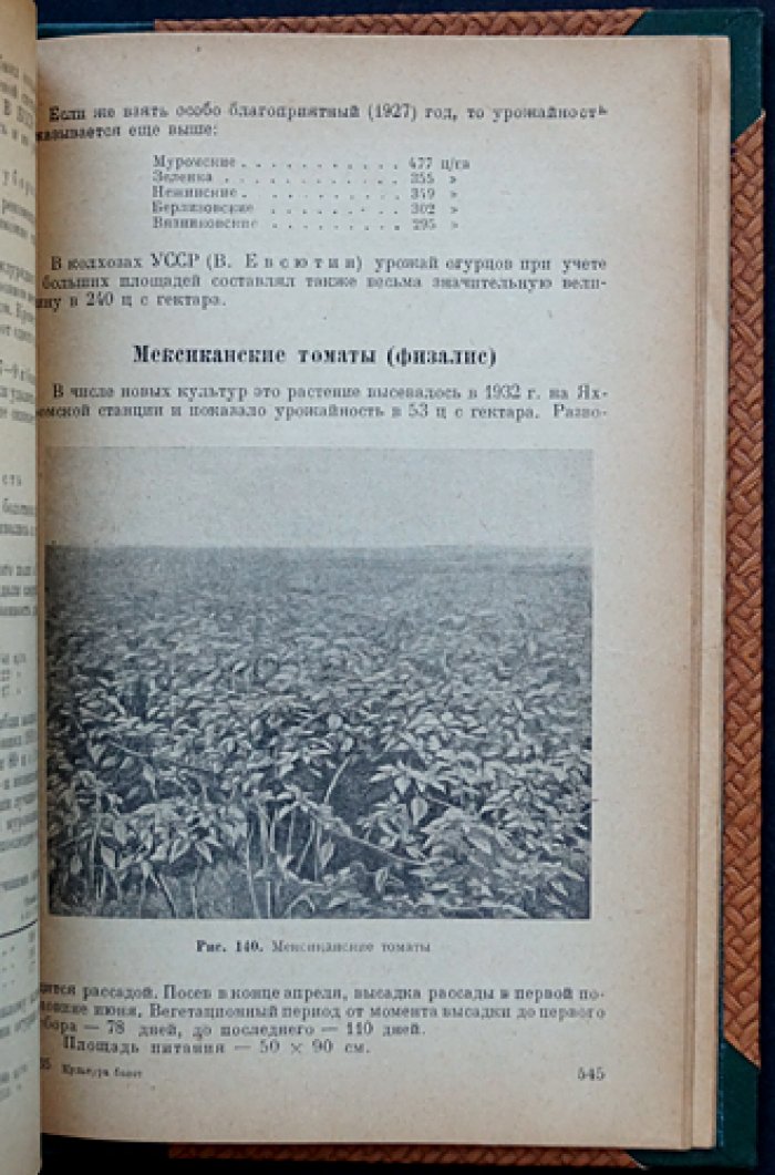 Культура болот: научные основы и агротехника (схемы, рисунки, фотоиллюстрации)