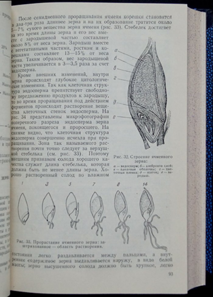 Технология спиртового производства: сырьё, солодоращение, затирание, брожение, перегонка и ректификация