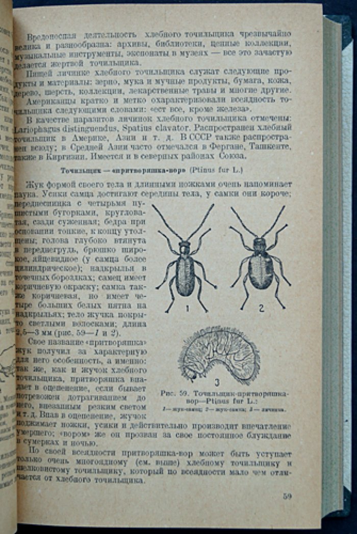 Вредители запасов зерна и зернопродуктов. Насекомые, грызуны и меры борьбы (3-е изд., перераб. и доп.)