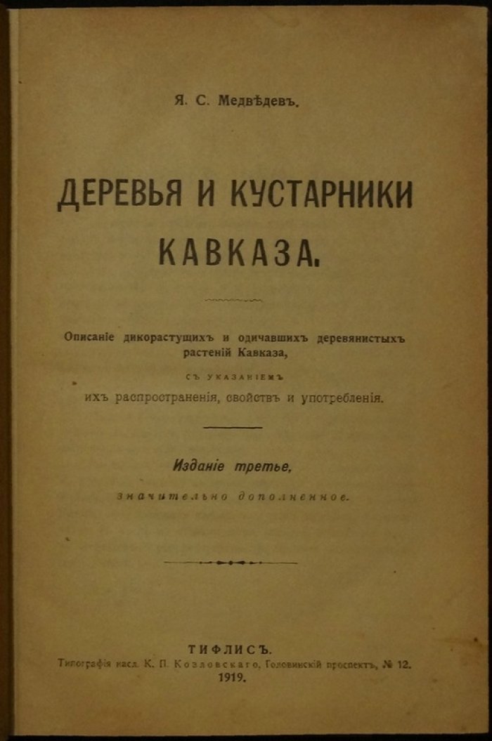 Деревья и кустарники Кавказа: дикорастущие и одичавшие растения, их распространение, свойства и употребление