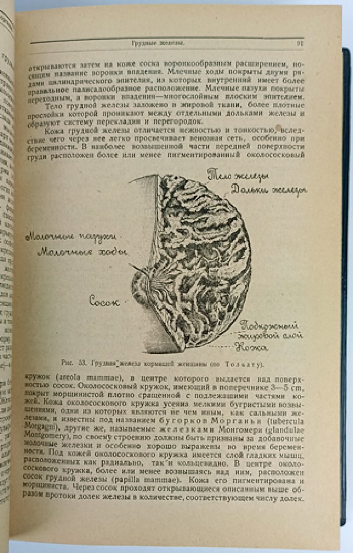 Руководство по женским болезням (энциклопедическое руководство по гинекологии)