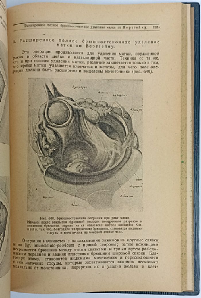 Руководство по женским болезням (энциклопедическое руководство по гинекологии)