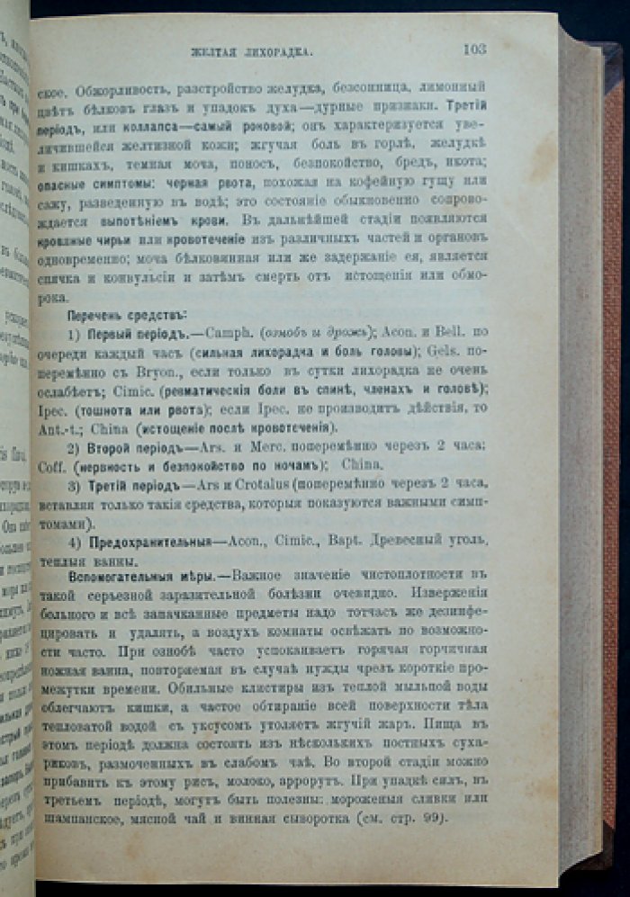 Руддок. Спутник гомеопата (Vade Mecum). Практическое руководство по гомеопатическому лечению болезней