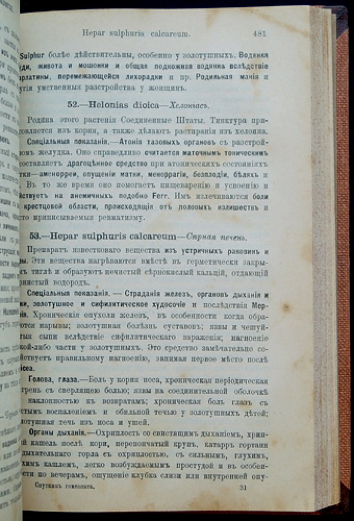 Руддок. Спутник гомеопата (Vade Mecum). Практическое руководство по гомеопатическому лечению болезней