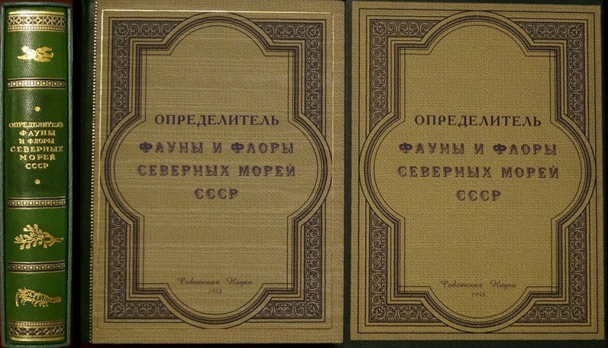 Определитель фауны и флоры северных морей СССР: справочник по Белому и Баренцеву морям