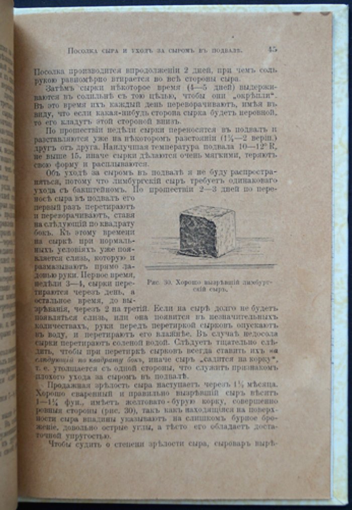 Производство бaкштейна и лимбургского сыра: практическое руководство с рисунками в тексте