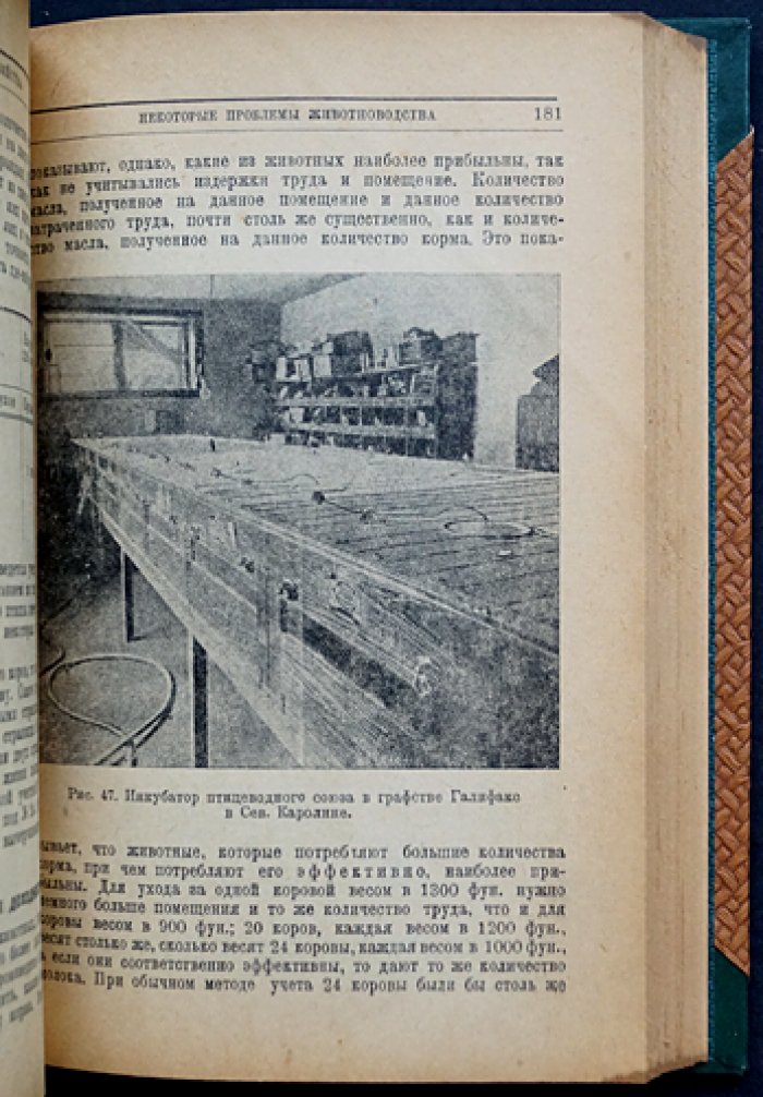 Организация сельского хозяйства (перевод с последнего американского издания)