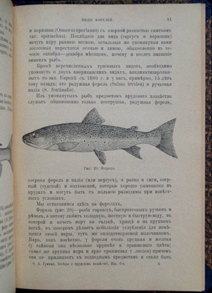 О.А. Гримм. Беседы о прудовом хозяйстве: устройство прудов, содержание рыбы и мелиорация