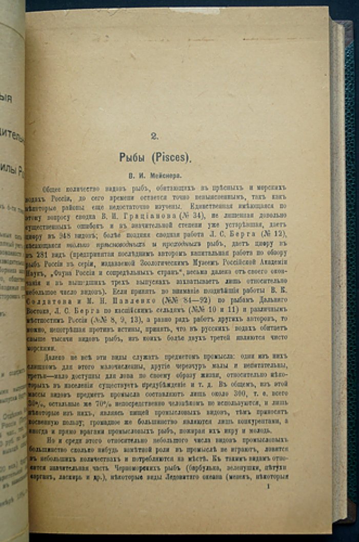 Естественные производительные силы России. Животный мир: позвоночные — рыбы — крупный рогатый скот — рыбоводство — домашняя птица (полный комплект 5 выпусков)