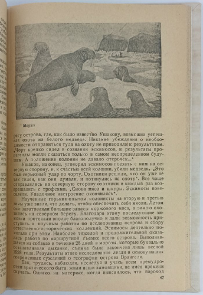 Остров Врангеля: история открытий, природа и жизнь зимовщиков (сведения об Арктике)