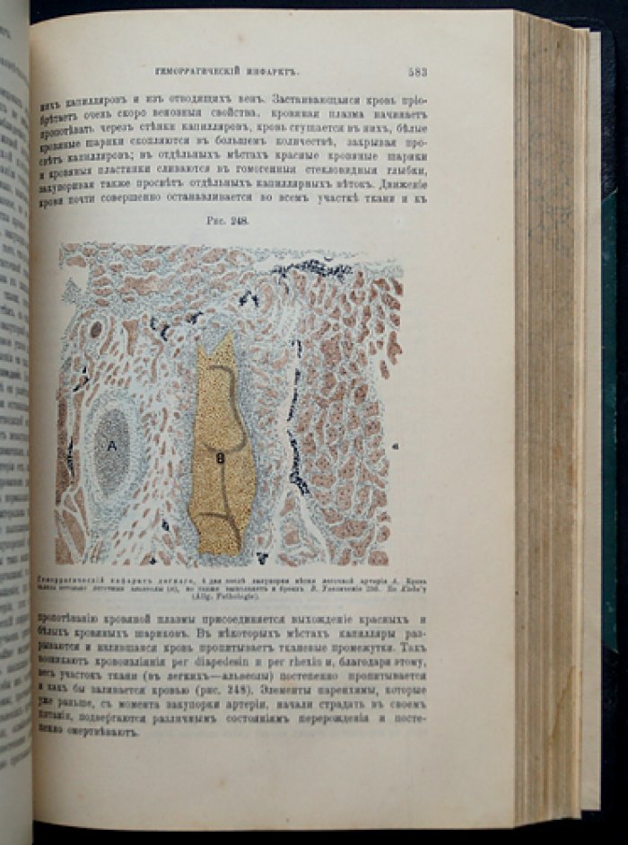 Основы общей и экспериментальной патологии. 4-е издание, переработанное и дополненное