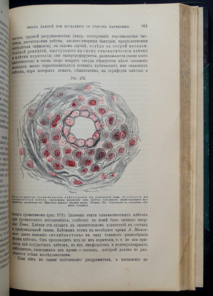 Основы общей и экспериментальной патологии. 4-е издание, переработанное и дополненное