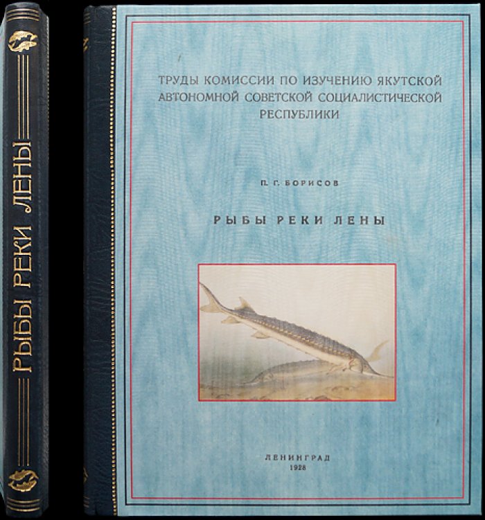 Рыбы реки Лены. Материалы по изучению ихтиофауны Якутской АССР