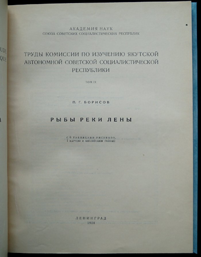 Рыбы реки Лены. Материалы по изучению ихтиофауны Якутской АССР