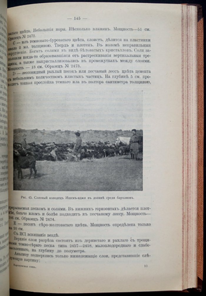 Каракумская степь: почвенные и гидрологические исследования (экспедиция 1908 г.)
