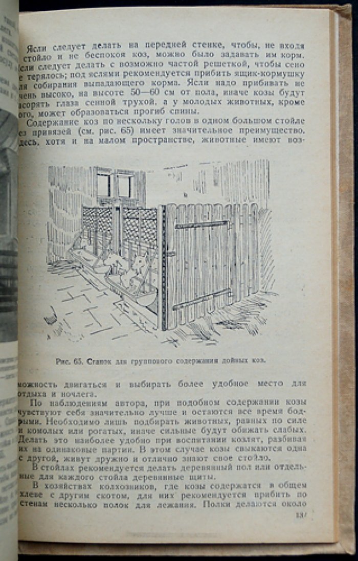 Козоводство: статистика, породы, содержание и кормление коз (научно-практическое руководство)