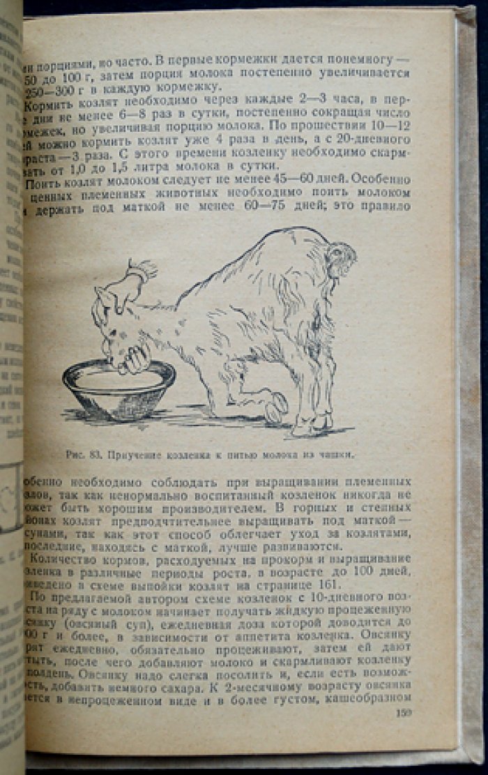 Козоводство: статистика, породы, содержание и кормление коз (научно-практическое руководство)