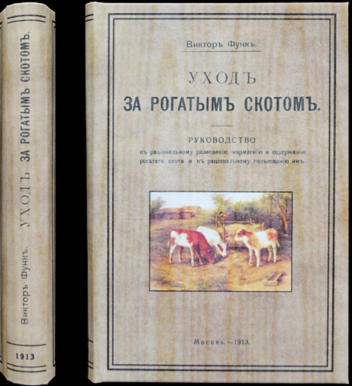 Уход за рогатым скотом: рациональное разведение, кормление и содержание крупного рогатого скота
