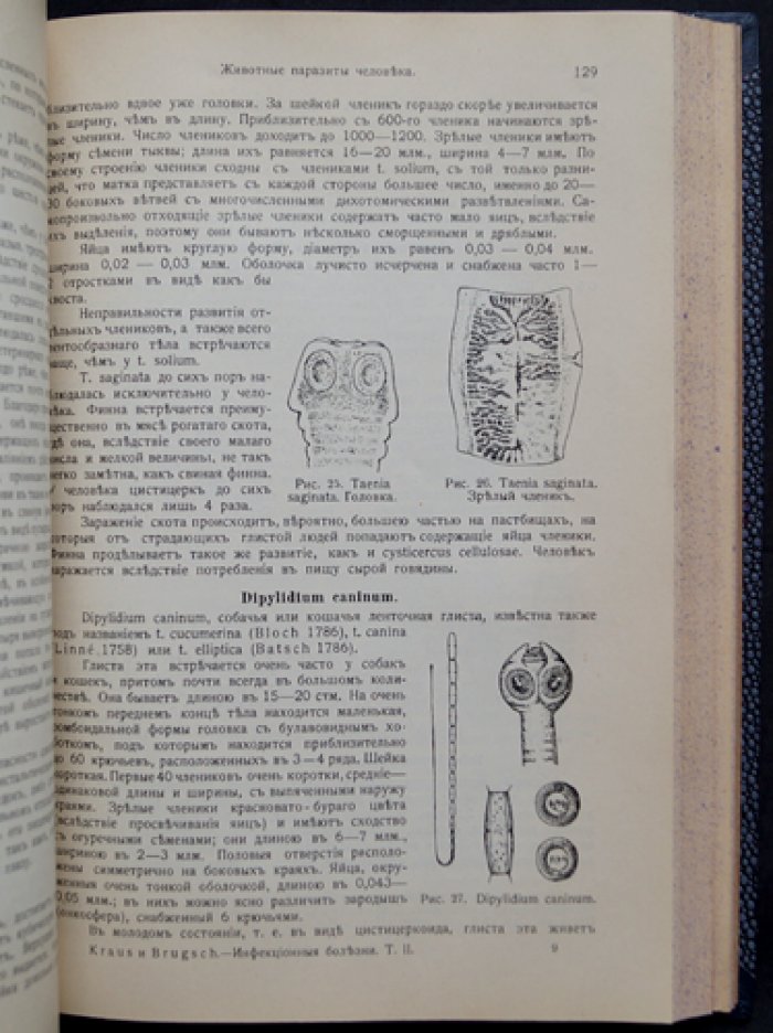Инфекционные болезни. Курс в двух частях (в одном переплете). Том I–II, вып. I: тиф и паратиф, дизентерия, дифтерия, грипп, столбняк, менингит, ревматизм и др.