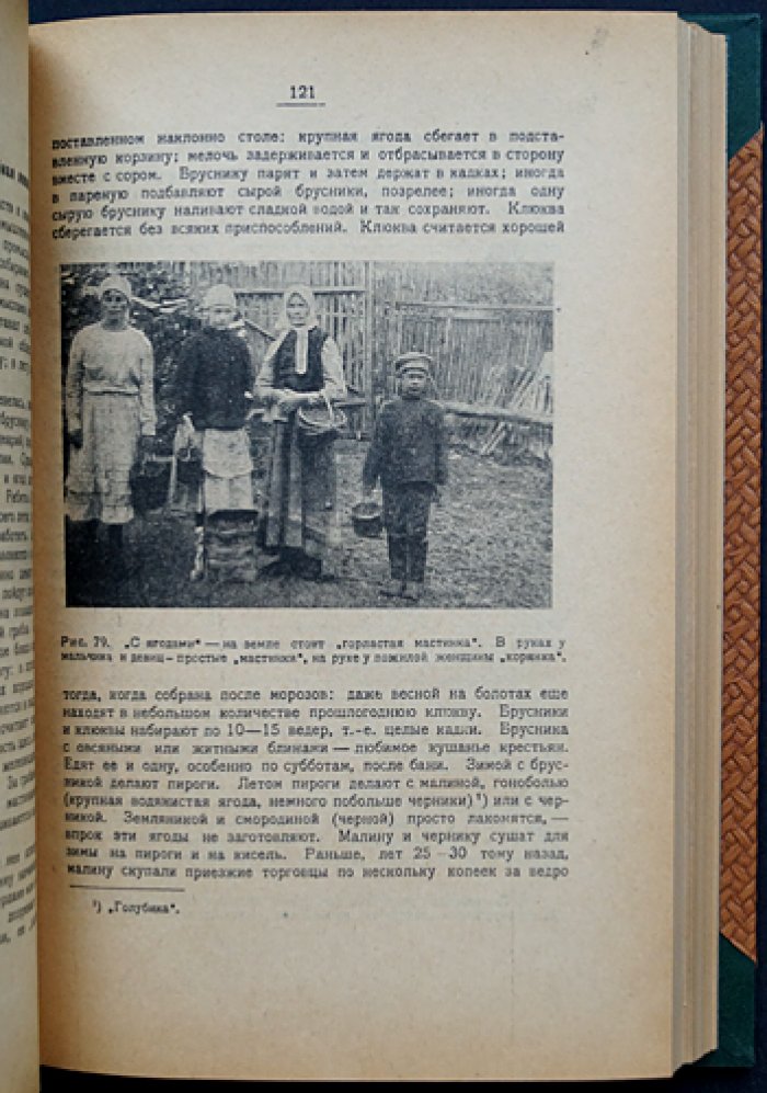 Современная деревня (Гадыши, Валдайский уезд): краеведческое обследование — в 2 частях