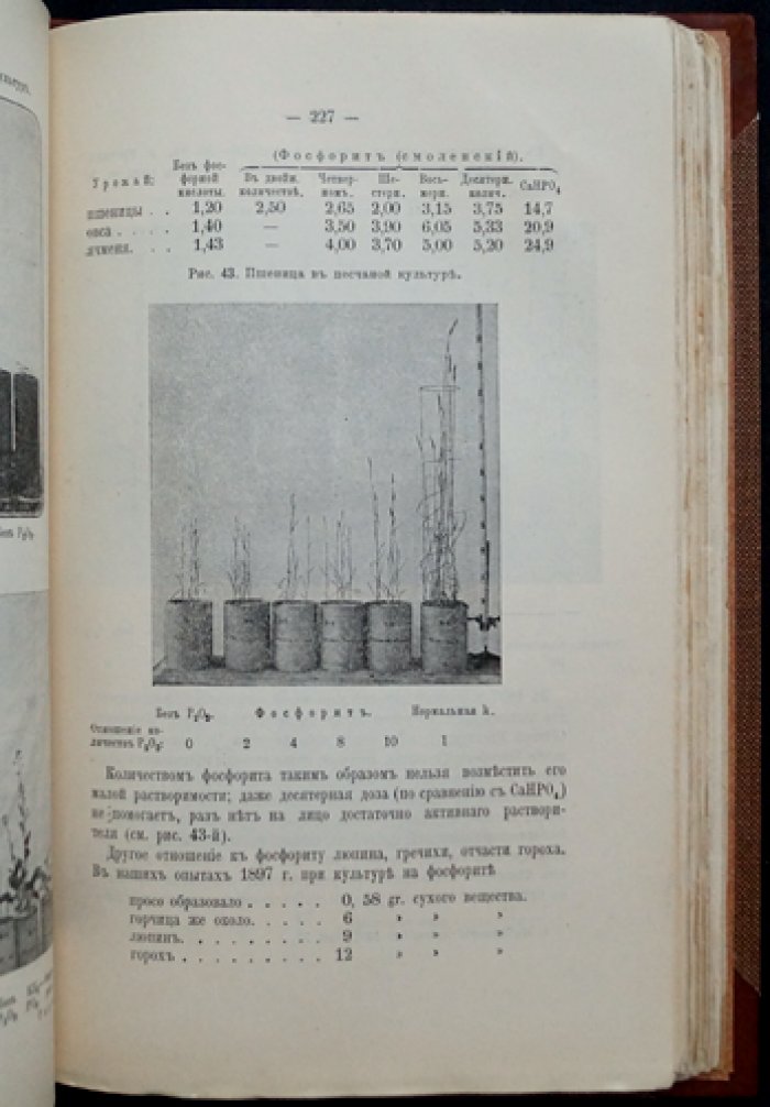 Учение об удобрении. 4-е издание (изд. Д.Н. Прянишников)