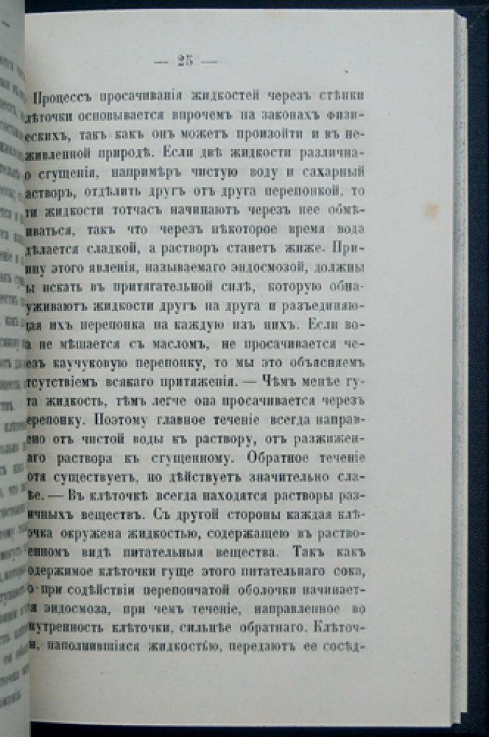 Частная гимназия Фр. Креймана в Москве: устройство, педагогика и строгий распорядок