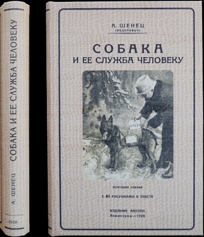 Собака и её служба человеку: происхождение, строение, уход и дрессировка для охоты, службы и охраны