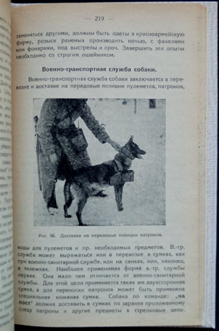 Собака и её служба человеку: происхождение, строение, уход и дрессировка для охоты, службы и охраны