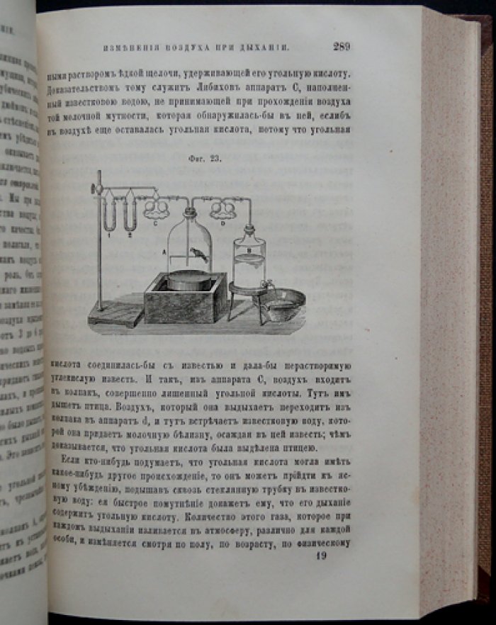 Физиология обыденной жизни (2-е изд.)