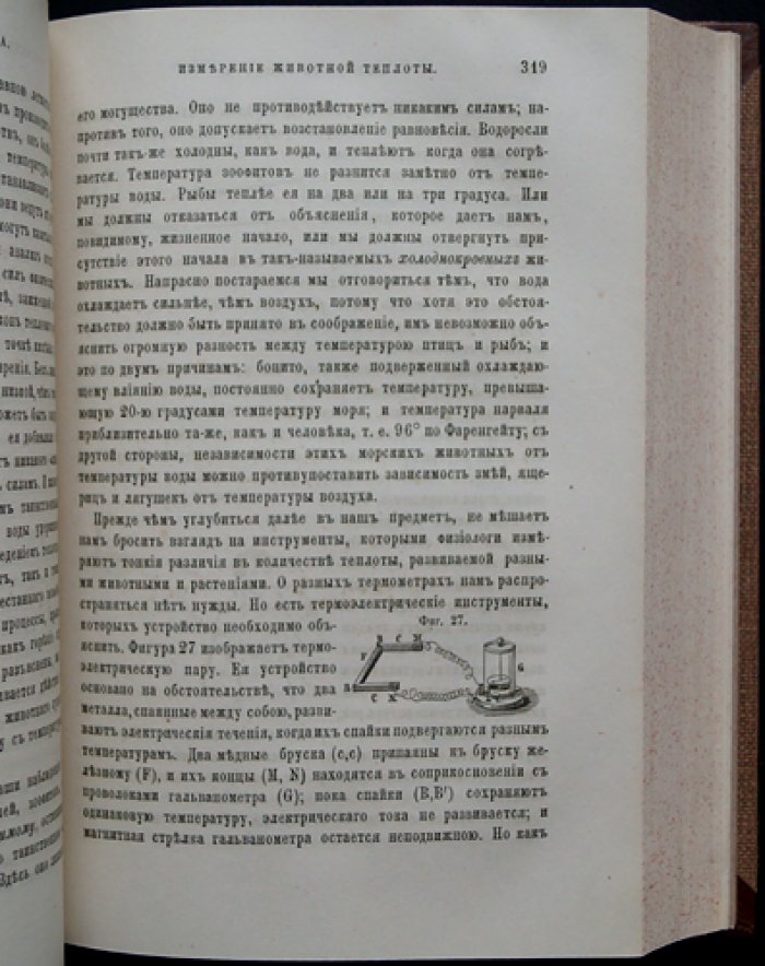 Физиология обыденной жизни (2-е изд.)
